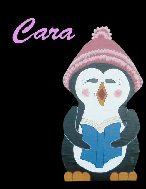 Cara